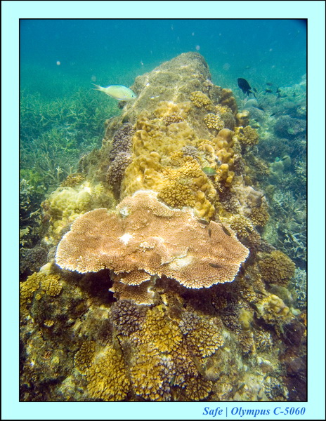 2008 - 07 - Perhentian - 085